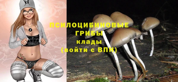 mdpv Строитель