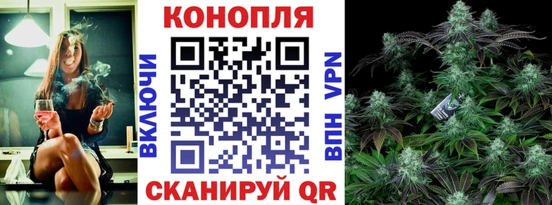 Купить где  Пласт  Канабис Ganja 